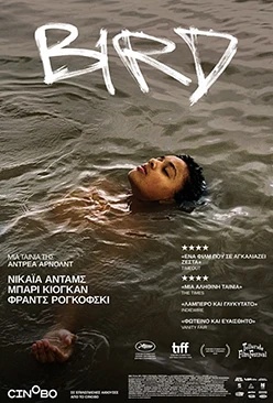 Bird nova eon on demand